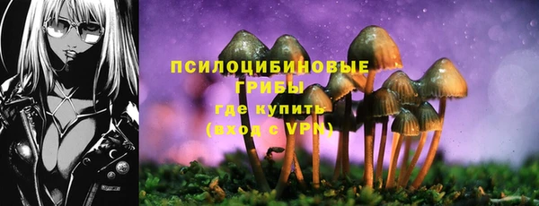 дурь Кулебаки